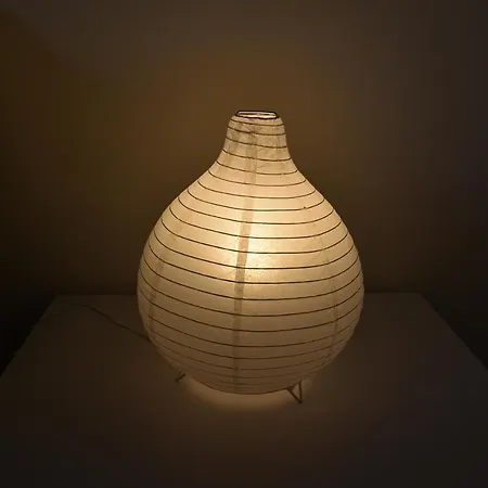 Salvatrice Lejlighed *